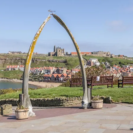 Salty Fox * Whitby