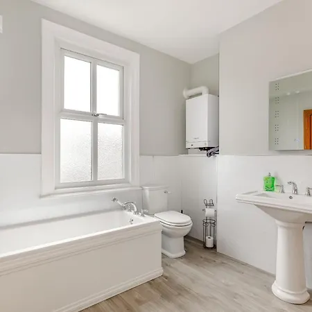 Salty Fox * ويتبي