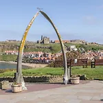 Salty Fox * Whitby